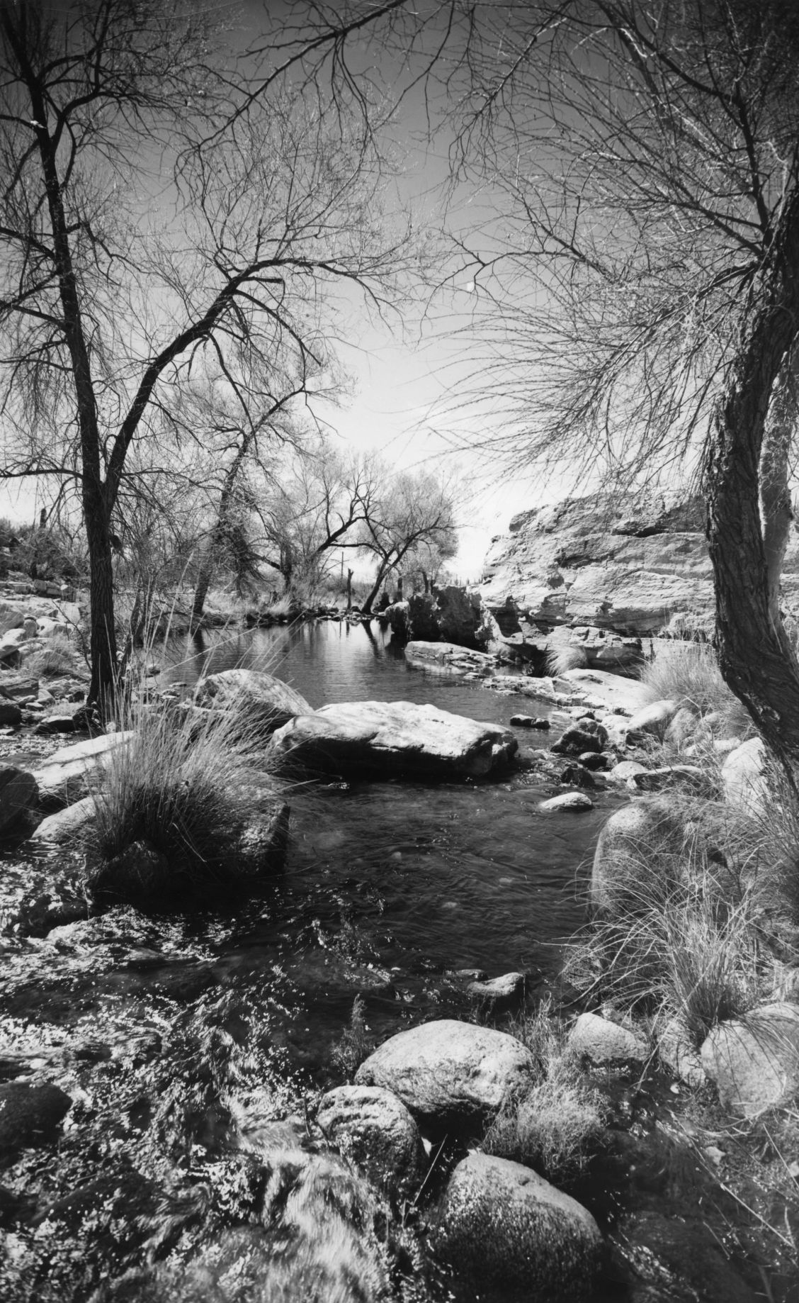 Sabino Canyon Recreation Area, Tucson